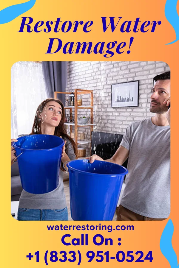 water restoration North Water Damage Partners Rosedale